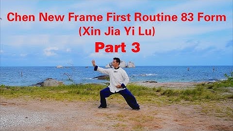 Chen Tai Chi New Frame First Routine (Xin Jia Yi Lu) 83 Form陈氏太极拳新架一路83式 - Part 3