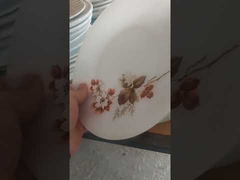 🎬 Video relacionado con vajillas Arcopal