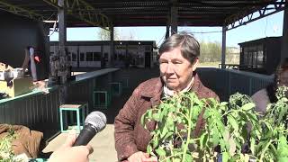 Как прошла ярмарка у Нового рынка в Киришах Как прошла ярмарка у Нового рынка в Киришах