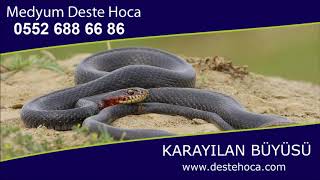 Kara Yılan Büyüsü Medyum Deste Hoca