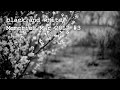 My memories Mar 2017 #3 | black and white photos