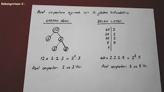 6.sınıf çarpanlara ayırma, asal çarpanlar,çarpan ağacı @Bulbulogretmen-2- #matematik #6sınıf #keşfet