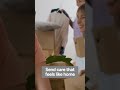 Showing Care with Customized Packages