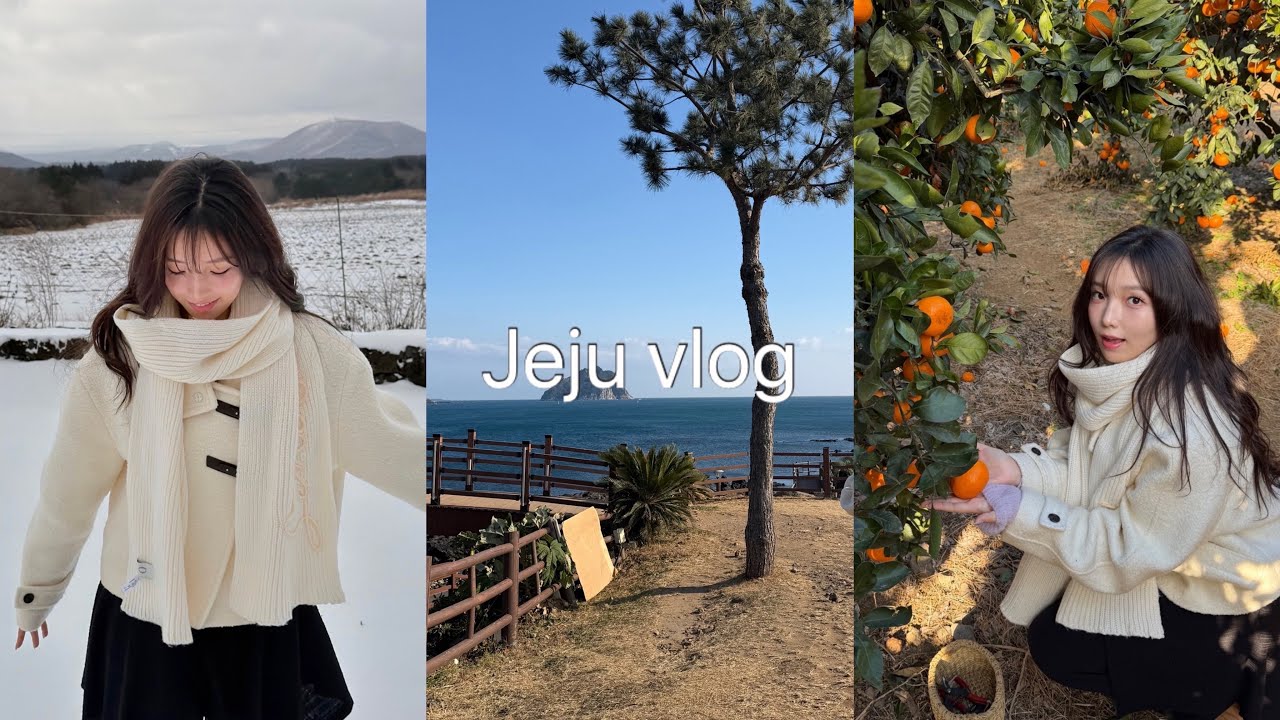 🍊| 제주도 뚜벅이 여행 vlog | 애월,서귀포,동백꽃,감귤밭,흑돼지 냠☺️