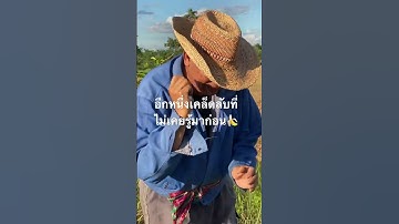 อีกหนึ่งเคล็ดลับที่ไม่เคยรู้มาก่อนในการปลูกกล้วย🍌🥰#เกษตรอินทรีย์ #โคกหนองนา #garden #fruit #กล้วย