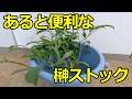 あると便利な【榊ストック】の話
