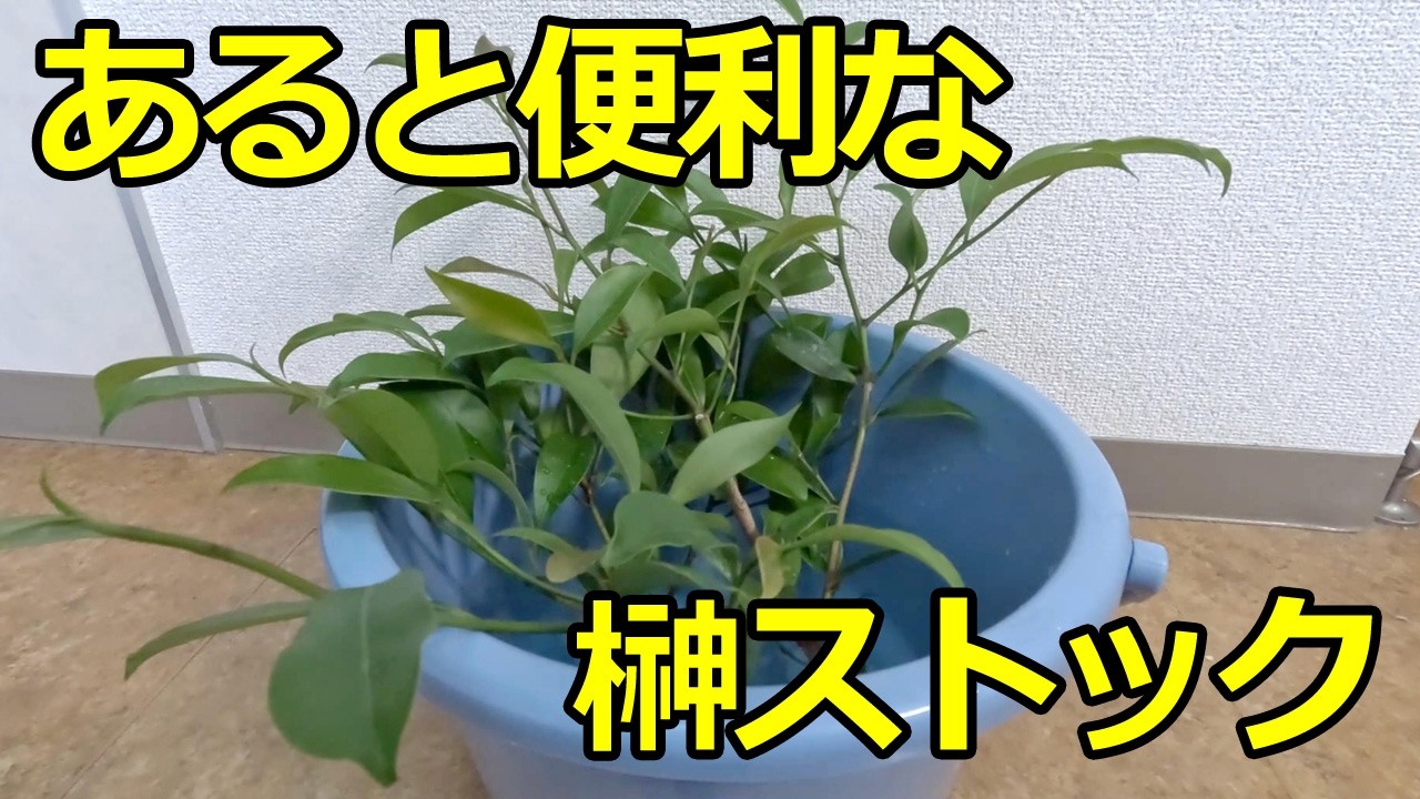 あると便利な【榊ストック】の話