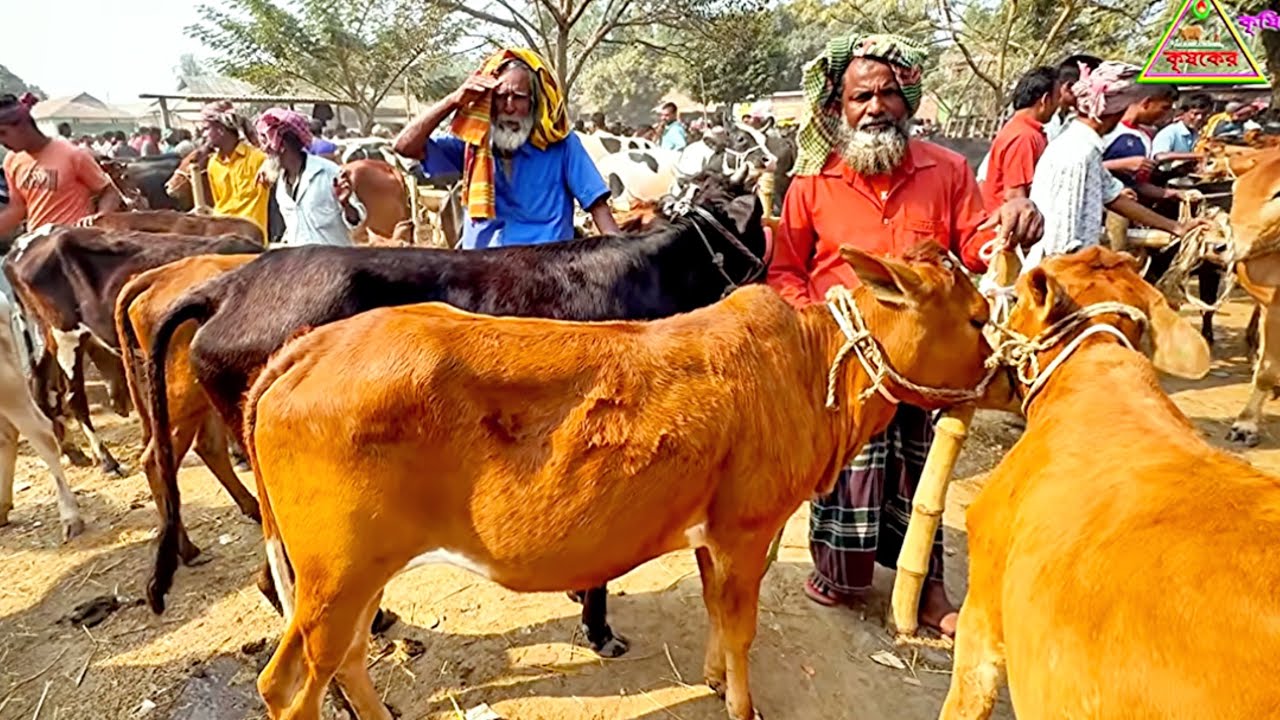 @২৪/০২/২৬