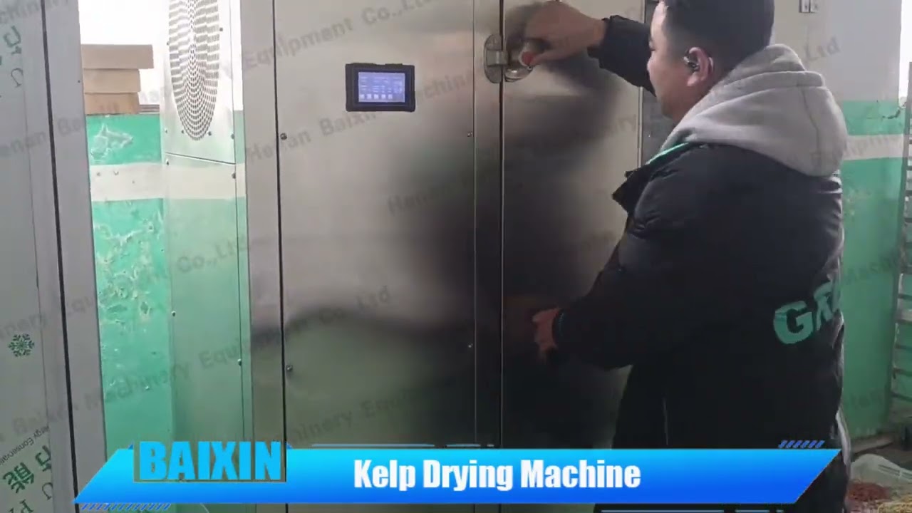 1P Kelp Drying Machine & Seaweed Dryer Machine