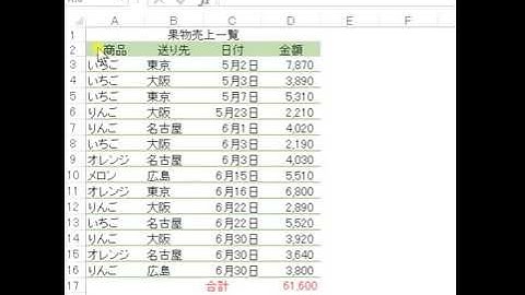 エクセルの オートフィルター機能の説明