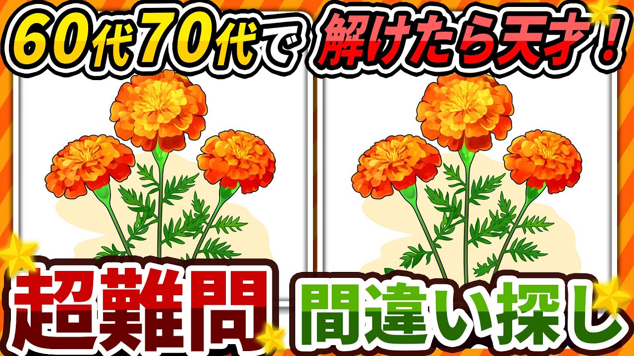 【間違い探しクイズ】⚠️むずかしいマリーゴールドのイラスト編！脳活＆脳トレにおススメ無料ゲーム【アハ体験有り】#207