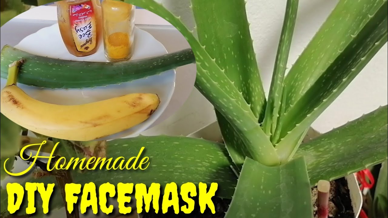 4 Ingredients DIY Face Mask //Aloe Vera, Banana, Honey & Turmeric