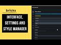 Bricks Builder (Course for Beginners) - Interface, Settings and Style Manager
