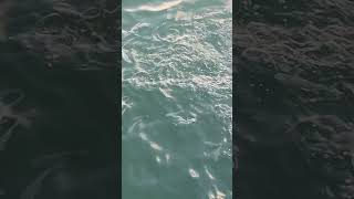 Galveston blue water 91st pier
