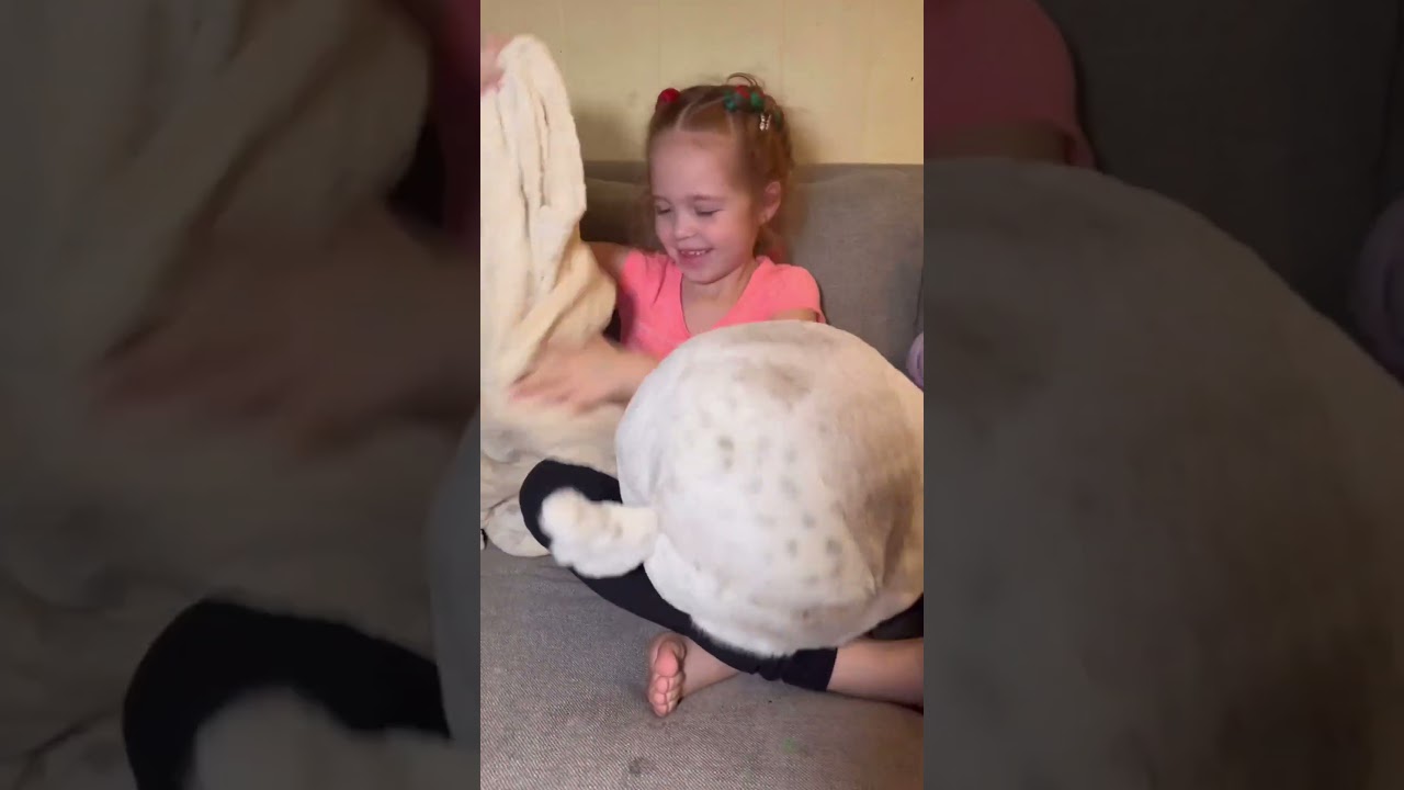 Meet @findcozzie, the ultimate cuddle buddy and travel companion! 🦉✨   