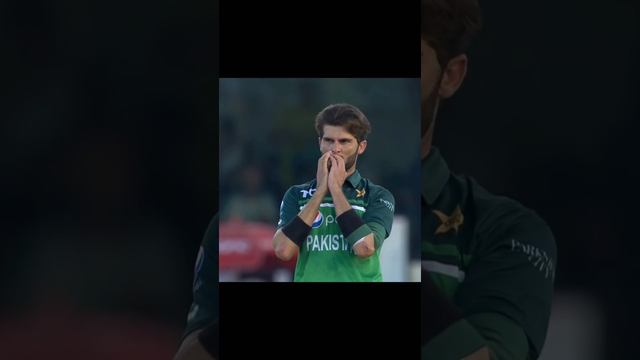 Sean Abbott x sigma boy ☠️🔥