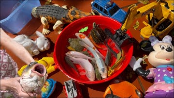 Kem Ốc Thỏ Vlog Tìm con cá sấu , con cá vàng , máy múc , ô tô , cá tra chanh , cá bong bóng , cua