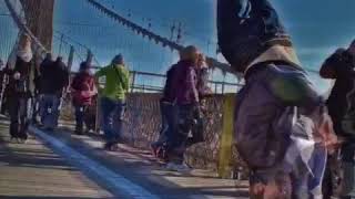 IMG 4329