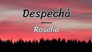 Despechá - Rosalía (lyrics/letra)
