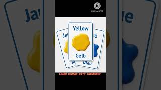 Learn German Colours in 20 Seconds 🇩🇪 | Easy Vocabulary #shorts #LearnGermanWithIndupreet