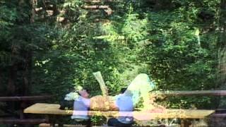 Bridge to Life (2 min)