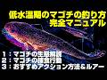 【シーズン初期】マゴチを絶対釣りたい方へ！これを知ってないとマゴチが中々釣れません！低水温期のマゴチの生態＆それに効果的なルアーアクション＆おすすめルアーワーム紹介
