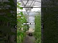 Keep Your Crops Rotated