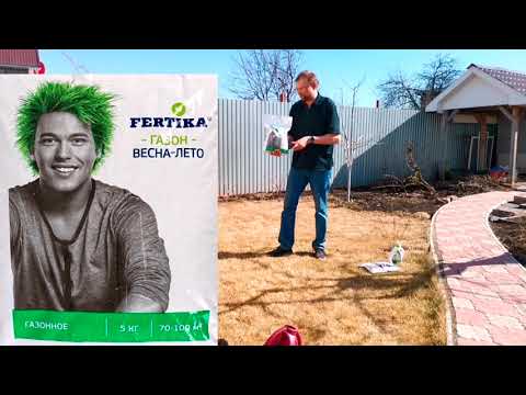 Расскажу, как быстрее привести в порядок газон после зимы.