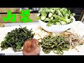 自分達で採って来た大量の山菜で超絶品な料理達が出来た !!