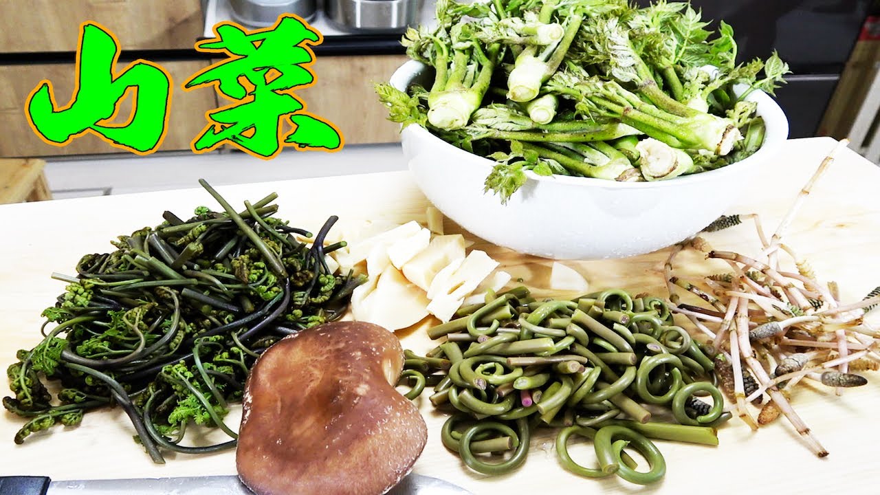 自分達で採って来た大量の山菜で超絶品な料理達が出来た !!