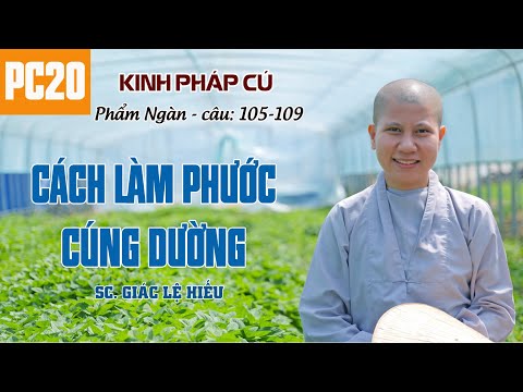 Video: Cách Làm Nổi Bật Cú Pháp