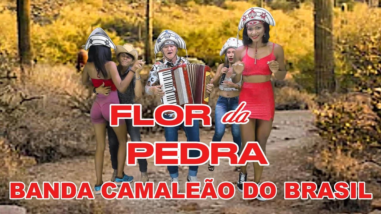 FLOR DA PEDRA  - BANDA CAMALEÃO DO BRASIL