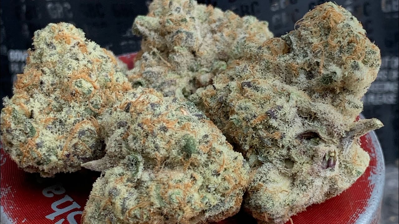 Gushers Strain Review