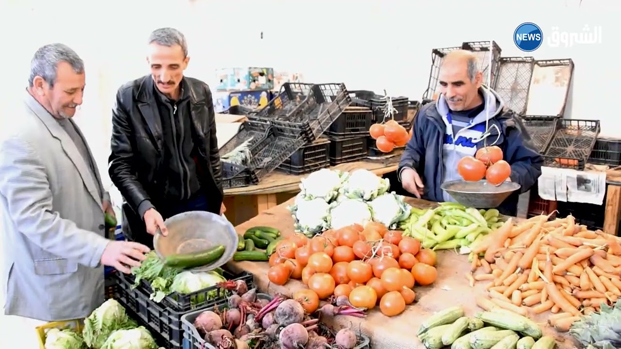 القفة |العدد 13 | السوق اليومي لمدينة فرجيوة بولاية ميلة