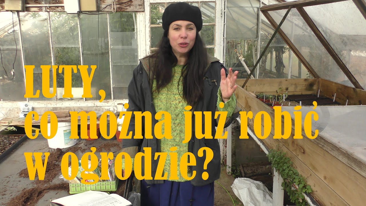 LUTY, co można już robić w ogrodzie? Pierwsze siewy, pielęgnacja pelargoni i kompzycje z hiacyntów.