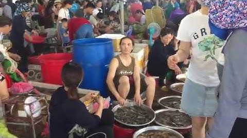 Chợ Bến Cá Nghi Thủy Cửa Lò