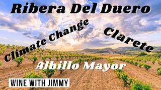 Thumbnail for Inside Ribera del Duero: Albillo Mayor, Clarete and Altitude