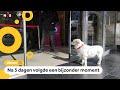 Hond wacht dagen op z