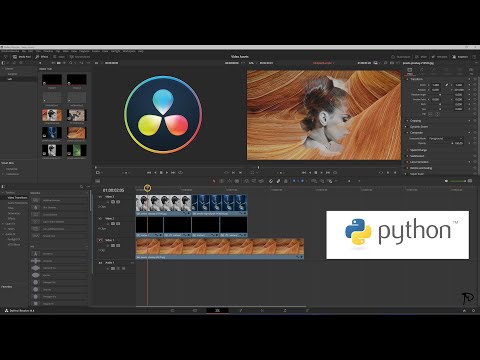 07 - Davinci Resolve - Fusion transition with Python