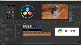 07 - Davinci Resolve - Fusion transition with Python