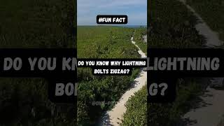 Fun Facts || Facts and Quotes || Funfacts ||