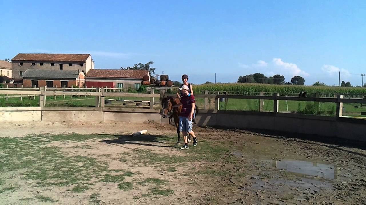 Angelica sul cavallo al centro ippico delle valli - YouTube