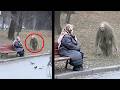 Mythical Creatures Caught on Camera That No One Can Explain