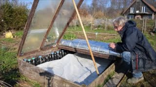 Le Potager du Paresseux : Un p'tit coup de froid - et alors ???