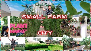 Part 1 | SANSIRI BACKYARD T77 COMMUNITY| CHUL FARM  IN THE HEART OF BANGKOK CITY || LarWenz TV
