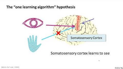 [Vietsub] Andrew Ng - Bài 31: Neuron và não bộ