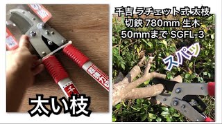 『千吉 ラチェット式 太枝切鋏 780mm 生木50mmまで SGFL-3』【タワマンのDIY動画】