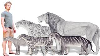 The Art of Tigers, Panthers and Metal Sabertooths.