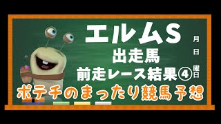 ジェベルムーサ の競走馬情報 Pog Info