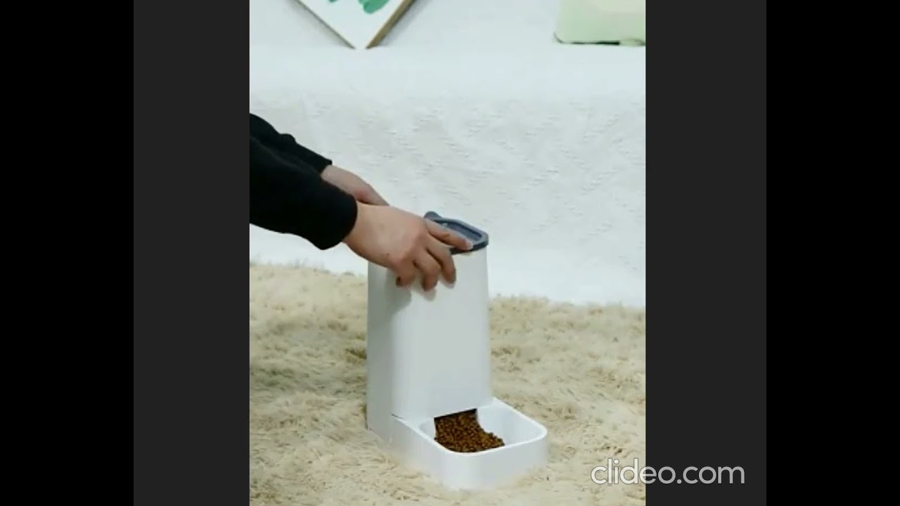 Automatic Feeder Device YouTube